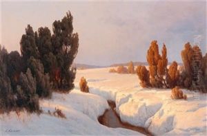 Winter Landscape In The Sun