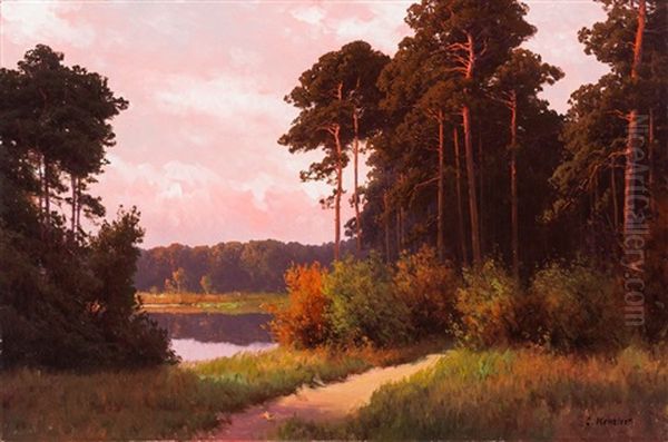 Abendliche Waldlandschaft Mit Spiegelndem Teich - view 1