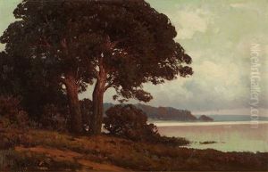 Coastal Landscape With Oak Trees