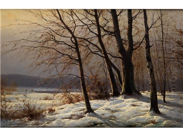 Winterliche Waldlandschaft Mit Jungen Baumen Am Waldrand - view 1