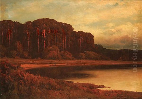 Forest's Edge At Dusk - view 1