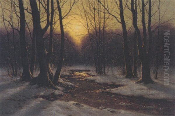 Quelle Im Abendlichen Winterwald - view 1