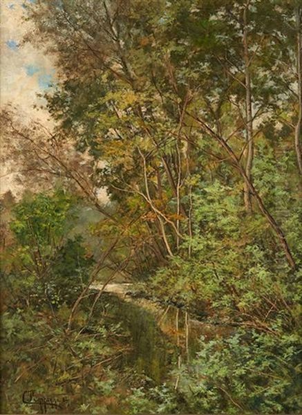 Ruisseau En Sous-bois - view 1