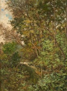 Ruisseau En Sous-bois