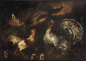 A Wooded Landscape With A Dear, A Peacock, A Turkey And A Cockerel With Rabbits And Guinea-pigs by Jacob van der (Giacomo da Castello) Kerckhoven