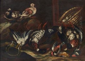 Nature Morte Aux Oiseaux by Jacob van der (Giacomo da Castello) Kerckhoven