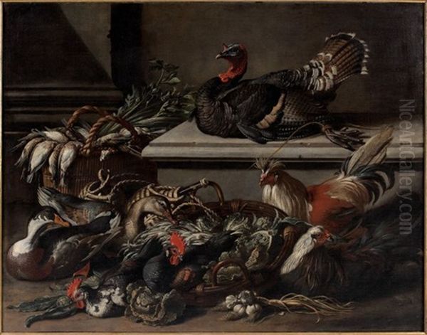 Coqs, Poules, Canard Et Dindon Dans Une Basse-cour - view 1