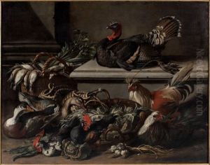 Coqs, Poules, Canard Et Dindon Dans Une Basse-cour by Jacob van der (Giacomo da Castello) Kerckhoven
