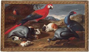Natura Morta Con Papagallo E Uccelli by Jacob van der (Giacomo da Castello) Kerckhoven