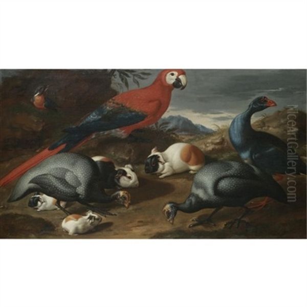 A Still Life With Guinea Pigs, A Parrot And Other Exotic Birds - view 1
