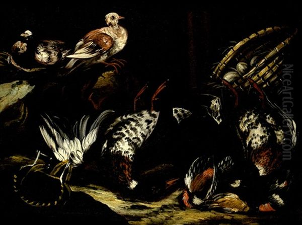 Nature Morte Aux Oiseaux - view 1