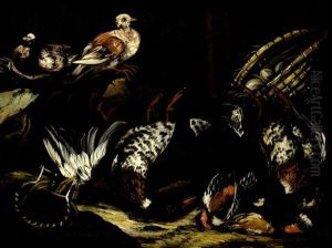 Nature Morte Aux Oiseaux by Jacob van der (Giacomo da Castello) Kerckhoven