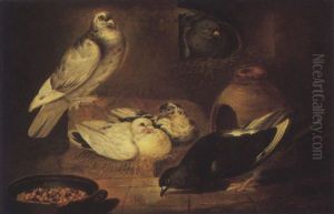 Pigeons In A Barn by Jacob van der (Giacomo da Castello) Kerckhoven