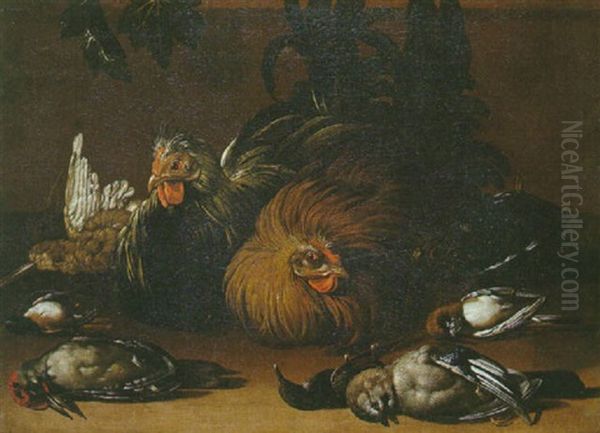 Poules Et Oiseaux - view 1
