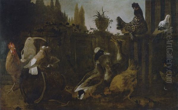 Animali Da Cortile In Un Giardino Formale - view 1