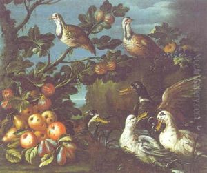 Wachteln Und Wildenten Mit Fruchten An Einem Felsigen Seeufer