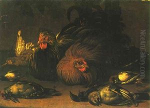 Two Roosters Surrounded By A Woodpecker, A Jay And Other Birds by Jacob van der (Giacomo da Castello) Kerckhoven