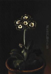 Primula I Lerpotte