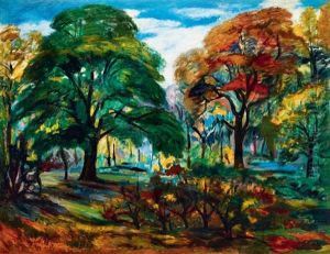Forest Landscape Forest Landscape