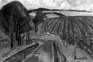 Landschaft Mit Feldern