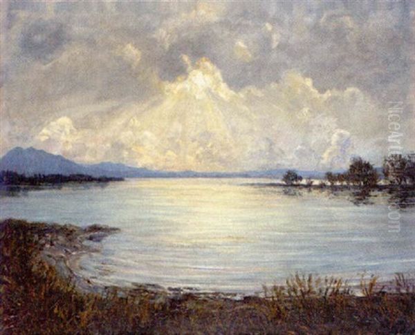 Am Chiemsee - view 1
