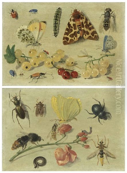 Butterflies, A Garden Tiger Moth And Other Insects With Currants; And Bees, A Butterfly, Beetles And Other Insects With Sweet Peas - view 1