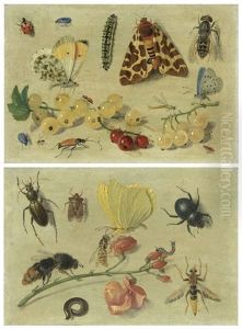Butterflies, A Garden Tiger Moth And Other Insects With Currants; And Bees, A Butterfly, Beetles And Other Insects With Sweet Peas by Jan van Kessel the Elder