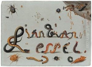 Spiders, Snakes And Caterpillars Entwined To Spell The Artist's Name by Jan van Kessel the Elder