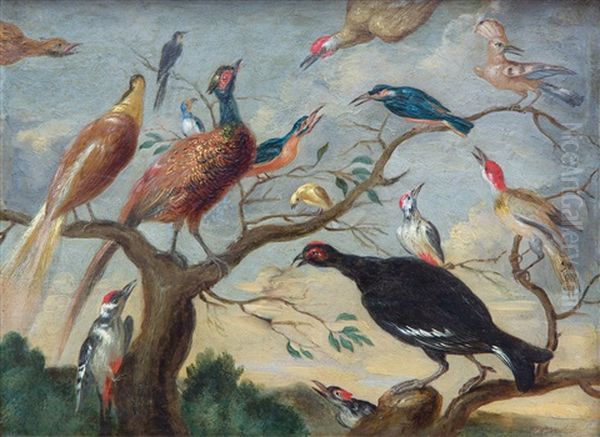 A Concert Of Birds by Jan van Kessel the Elder