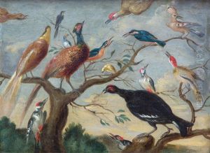A Concert Of Birds by Jan van Kessel the Elder