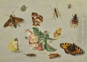 Butterflies, Moths, A Dragonfly And Other Insects, With A Spring Of Apple Blossom by Jan van Kessel the Elder