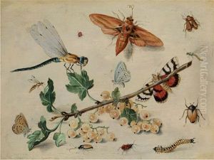 Weisse Johannisbeeren Und Insekten Auf Papierfarbenem Untergrund