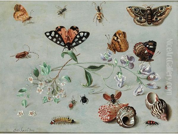 Blutenzweige Umgeben Von Insekten Und Muscheln - view 1