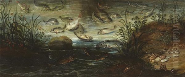Poissons Et Coquillages - view 1