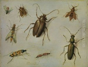 Insekten-studie by Jan van Kessel the Elder