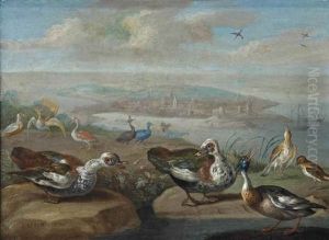 Two Egyptian Geese, A Red-breasted Merganser And Other Birds On A Shore, A Town And Vessels Beyond