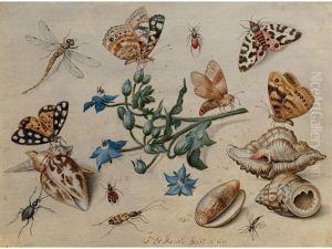Schmetterlinge, Muscheln, Insekten Und Blutenzweig