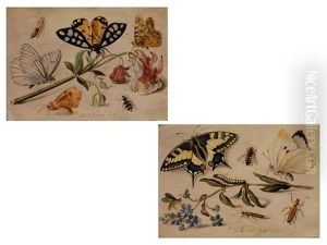 Stillleben Mit Insekten Und Akelei
Stillleben Mit Insekten Und Vergissmeinnicht by Jan van Kessel the Elder