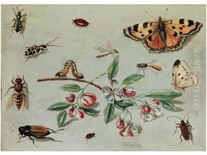Schmetterlinge, Kafer, Raupe Und Blumenzweig