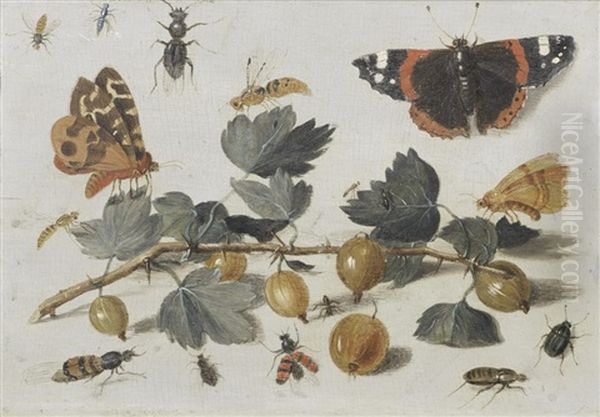 Butterflies, Insects And Gooseberries - view 1
