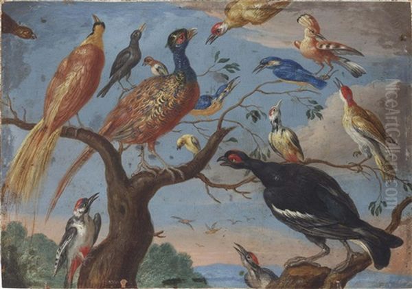 A Concert Of Birds - view 1