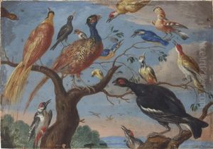 A Concert Of Birds by Jan van Kessel the Elder