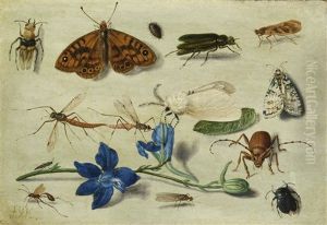 Still Life Of Moths, Insects And A Parma Violet by Jan van Kessel the Elder
