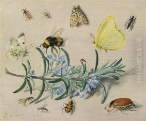 A Still Life Study Of Insects On A Sprig Of Rosemary With Butterflies, A Bumble Bee, Beetles And Other Insects by Jan van Kessel the Elder
