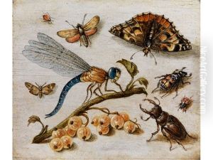 Grosse Libelle Zwischen Hirschkafer, Schmetterling Und Insekten by Jan van Kessel the Elder