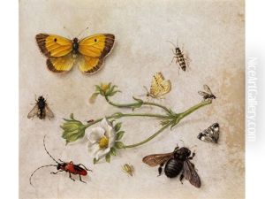 Blutenstangel Einer Butterblume Umgeben Von Insekten by Jan van Kessel the Elder