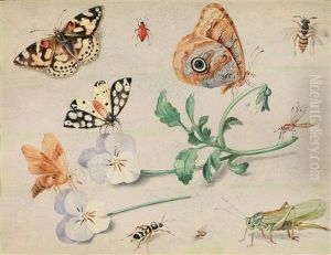 Studie Von Insekten Und Blumen by Jan van Kessel the Elder