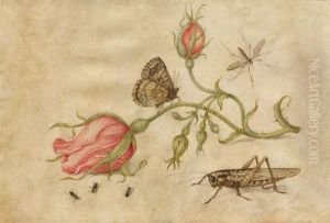 Stillleben Mit Rosenknospen Und Insekten
