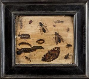 Etude D'insectes (study) by Jan van Kessel the Elder