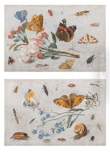 Study Of Insects, Butterflies And A Snail With A Sprig Of Forget-me-nots; Study Of Butterflies And Other Insects With A Sprig Of Apple Blossom (pair) by Jan van Kessel the Elder